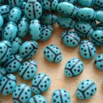 LADYBIRD